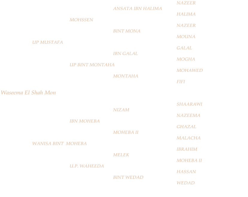 NAZEER ANSATA IBN HALIMA HALIMA MOHSSEN NAZEER BINT MONA MOUNA UP MUSTAFA GALAL  IBN GALAL MOGHA UP BINT MONTAHA MOHAWED  MONTAHA FIFI Waseema El Shah Mon SHAARAWI NIZAM NAZEEMA IBN MOHEBA GHAZAL MOHEBA II MALACHA WANISA BINT  MOHEBA IBRAHIM MELEK MOHEBA II U.P. WAHEEDA HASSAN BINT WEDAD WEDAD