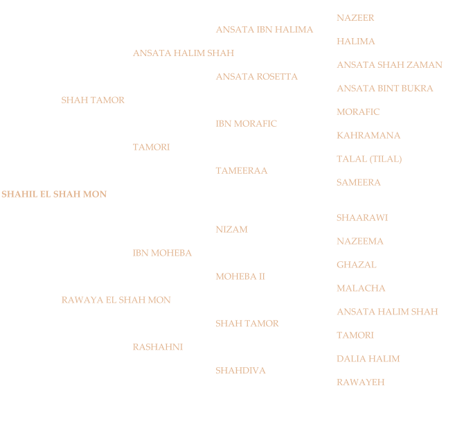 NAZEER ANSATA IBN HALIMA HALIMA ANSATA HALIM SHAH ANSATA SHAH ZAMAN ANSATA ROSETTA ANSATA BINT BUKRA SHAH TAMOR MORAFIC IBN MORAFIC KAHRAMANA TAMORI TALAL (TILAL) TAMEERAA SAMEERA SHAHIL EL SHAH MON SHAARAWI NIZAM NAZEEMA IBN MOHEBA  GHAZAL MOHEBA II MALACHA RAWAYA EL SHAH MON ANSATA HALIM SHAH SHAH TAMOR TAMORI RASHAHNI DALIA HALIM SHAHDIVA RAWAYEH
