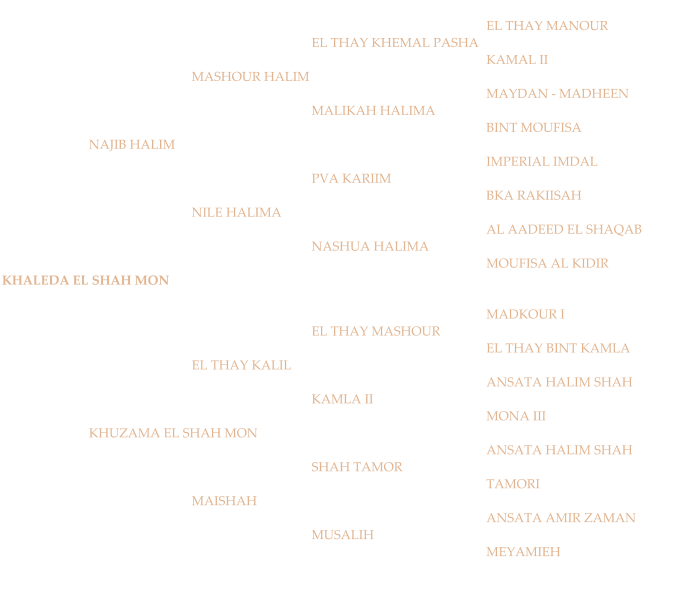 EL THAY MANOUR EL THAY KHEMAL PASHA KAMAL II MASHOUR HALIM MAYDAN - MADHEEN MALIKAH HALIMA BINT MOUFISA NAJIB HALIM IMPERIAL IMDAL PVA KARIIM BKA RAKIISAH NILE HALIMA AL AADEED EL SHAQAB NASHUA HALIMA MOUFISA AL KIDIR KHALEDA EL SHAH MON MADKOUR I EL THAY MASHOUR EL THAY BINT KAMLA EL THAY KALIL ANSATA HALIM SHAH KAMLA II MONA III KHUZAMA EL SHAH MON ANSATA HALIM SHAH SHAH TAMOR TAMORI MAISHAH ANSATA AMIR ZAMAN MUSALIH MEYAMIEH