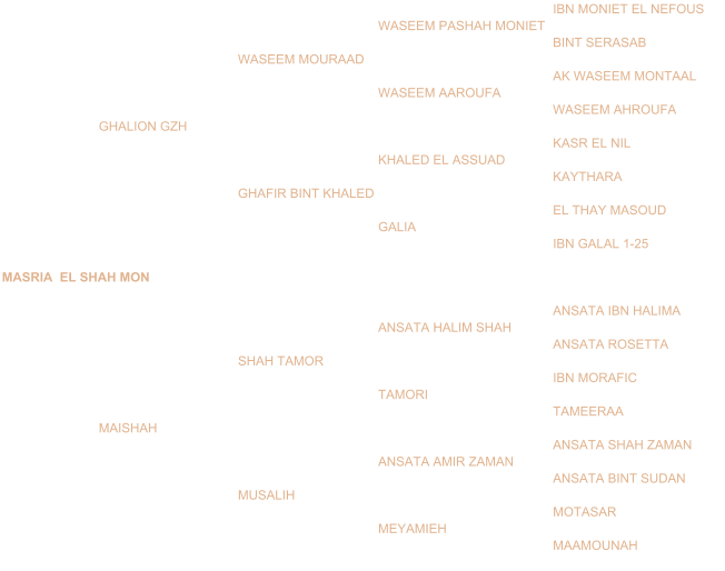 IBN MONIET EL NEFOUS WASEEM PASHAH MONIET BINT SERASAB WASEEM MOURAAD AK WASEEM MONTAAL WASEEM AAROUFA WASEEM AHROUFA GHALION GZH KASR EL NIL KHALED EL ASSUAD KAYTHARA GHAFIR BINT KHALED EL THAY MASOUD GALIA IBN GALAL 1-25 MASRIA  EL SHAH MON ANSATA IBN HALIMA ANSATA HALIM SHAH ANSATA ROSETTA SHAH TAMOR IBN MORAFIC TAMORI TAMEERAA MAISHAH ANSATA SHAH ZAMAN ANSATA AMIR ZAMAN ANSATA BINT SUDAN MUSALIH MOTASAR MEYAMIEH MAAMOUNAH