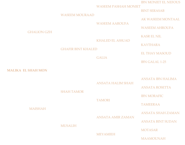 IBN MONIET EL NEFOUS WASEEM PASHAH MONIET BINT SERASAB WASEEM MOURAAD AK WASEEM MONTAAL WASEEM AAROUFA WASEEM AHROUFA    GHALION GZH KASR EL NIL KHALED EL ASSUAD KAYTHARA GHAFIR BINT KHALED EL THAY MASOUD GALIA IBN GALAL 1-25         MALIKA  EL SHAH MON ANSATA IBN HALIMA ANSATA HALIM SHAH ANSATA ROSETTA SHAH TAMOR IBN MORAFIC TAMORI TAMEERAA      MAISHAH ANSATA SHAH ZAMAN ANSATA AMIR ZAMAN ANSATA BINT SUDAN MUSALIH MOTASAR MEYAMIEH MAAMOUNAH