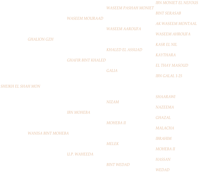 IBN MONIET EL NEFOUS WASEEM PASHAH MONIET BINT SERASAB WASEEM MOURAAD AK WASEEM MONTAAL WASEEM AAROUFA WASEEM AHROUFA GHALION GZH KASR EL NIL KHALED EL ASSUAD KAYTHARA GHAFIR BINT KHALED EL THAY MASOUD GALIA IBN GALAL 1-25 SHEIKH EL SHAH MON SHAARAWI NIZAM NAZEEMA IBN MOHEBA GHAZAL MOHEBA II MALACHA WANISA BINT MOHEBA IBRAHIM MELEK MOHEBA II U.P. WAHEEDA HASSAN BINT WEDAD WEDAD