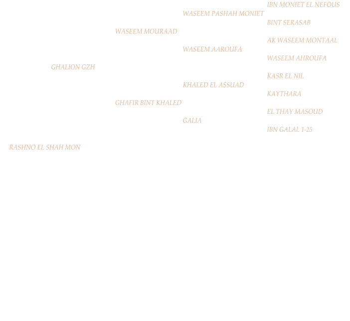IBN MONIET EL NEFOUS WASEEM PASHAH MONIET BINT SERASAB WASEEM MOURAAD AK WASEEM MONTAAL WASEEM AAROUFA WASEEM AHROUFA   GHALION GZH KASR EL NIL KHALED EL ASSUAD KAYTHARA GHAFIR BINT KHALED EL THAY MASOUD GALIA IBN GALAL 1-25      RASHNO EL SHAH MON