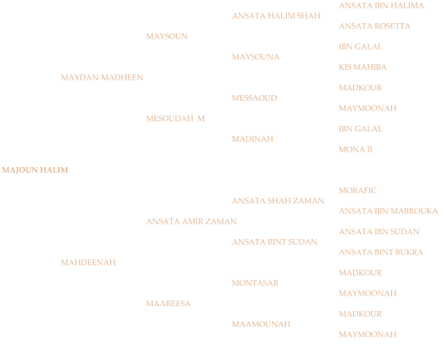 ANSATA IBN HALIMA ANSATA HALIM SHAH ANSATA ROSETTA MAYSOUN IBN GALAL MAYSOUNA KIS MAHIBA MAYDAN-MADHEEN MADKOUR MESSAOUD MAYMOONAH MESOUDAH  M IBN GALAL MADINAH MONA II MAJOUN HALIM MORAFIC ANSATA SHAH ZAMAN ANSATA IBN MABROUKA ANSATA AMIR ZAMAN ANSATA IBN SUDAN ANSATA BINT SUDAN ANSATA BINT BUKRA MAHDEENAH MADKOUR MONTASAR MAYMOONAH MAAREESA MADKOUR MAAMOUNAH MAYMOONAH